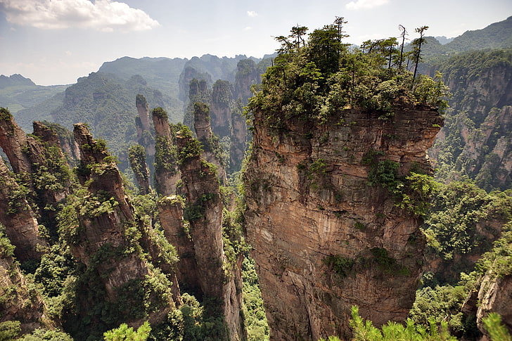 grüne und braune Baummalerei, Landschaft, Berge, China, Bäume, Felsen, Zhangjiajie Nationalpark, HD-Hintergrundbild