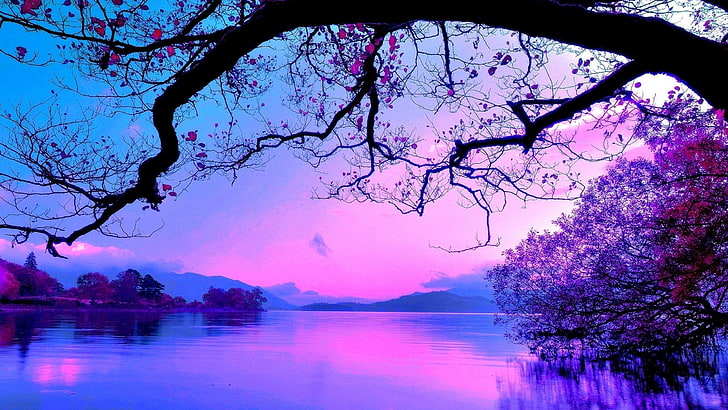 青と紫の夕日、 HDデスクトップの壁紙