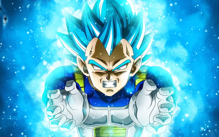 Vegeta Ultra Ego HD Anime 4k Wallpapers Images Backgrounds Photos and  Pictures
