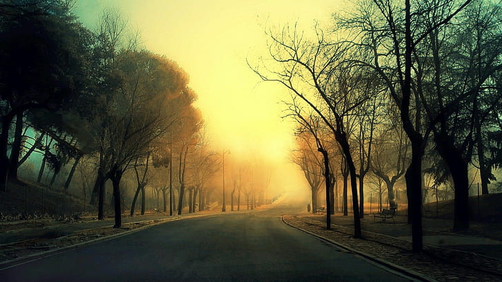 Sunrise Road Instagram-Like HD, пътища, дървета, HD тапет