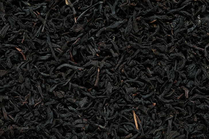 black leaves, photography, nature, tea plant, black, HD wallpaper