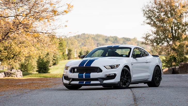 bil, skärpedjup, Ford Mustang Shelby, natur, Shelby GT350, HD tapet