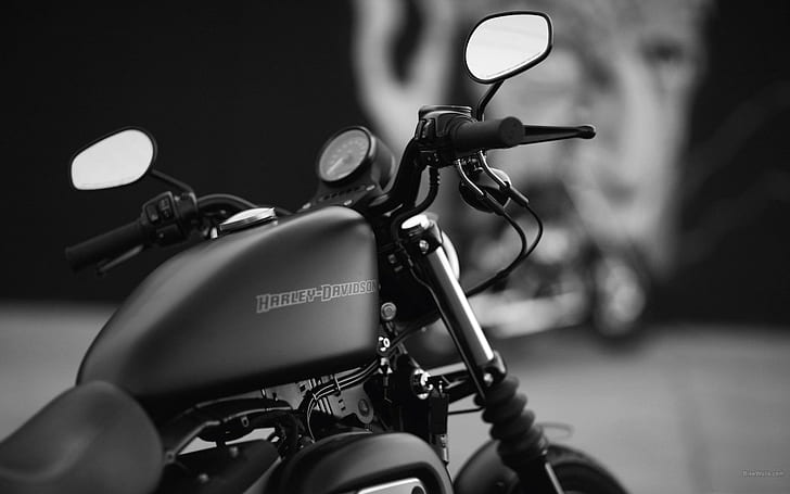 Harley-Davidson, bicicleta pesada, monocromo, motocicleta, Harley Davidson, cables, Fondo de pantalla HD