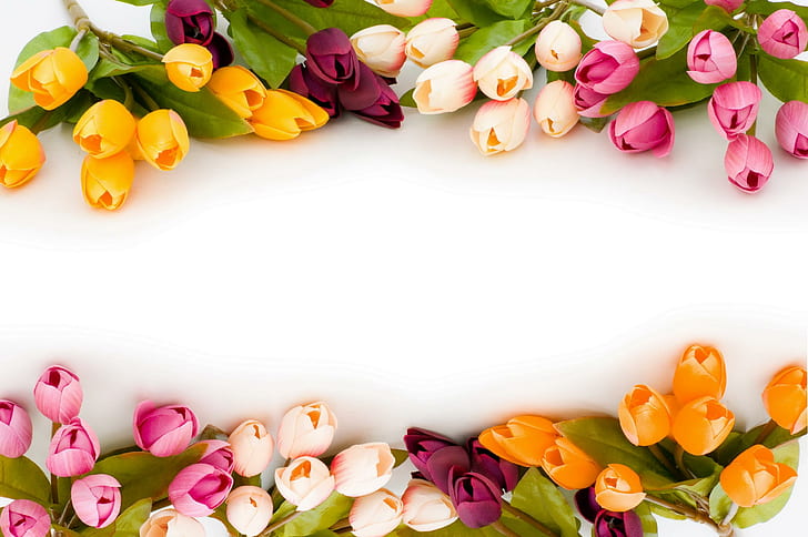 Tulip Berwarna-warni (untuk Jacqeline), berwarna, kuning, oranye, tulip, merah muda, tulip indah, tulip indah, warna, keindahan, 3d, dan ab, Wallpaper HD