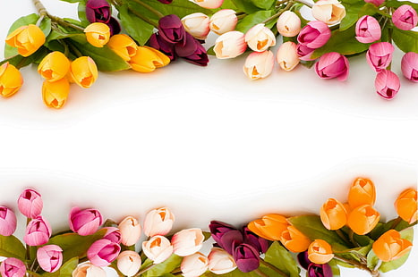توليب ملون (لجاكلين) ، ملون ، أصفر ، برتقالي ، زنبق ، وردي ، زهور الأقحوان الجميلة ، زهور الأقحوان الرائعة ، الألوان ، الجمال ، ثلاثي الأبعاد وأب، خلفية HD HD wallpaper
