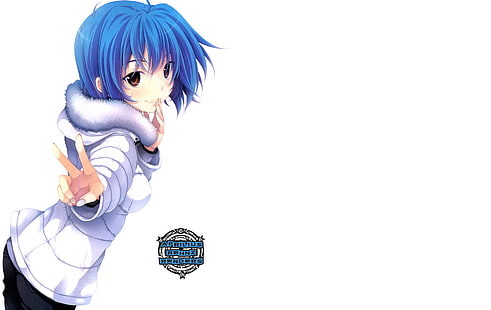 Anime, High School DxD, Xenovia Quarta, HD-Hintergrundbild HD wallpaper