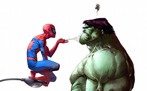 Spider-man and Hulk wallpaper, Hulk, Spider-Man, Marvel Comics, HD wallpaper HD wallpaper