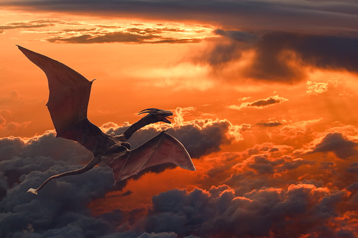 dinosaurus terbang coklat dekat awan wallpaper grafis, Flying dragon, Sunset, Clouds, HD, Wallpaper HD