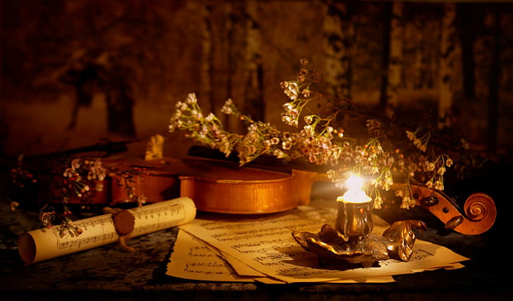 Romantischer Abend, weiß-grüne Blütenblätter, Stillleben, Notenblätter, Violine, Romantik, Romantik, Kerze, 3d und abstrakt, HD-Hintergrundbild