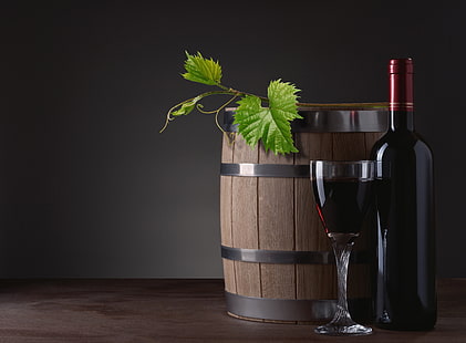 hojas, vino, vidrio, botella, barril, Fondo de pantalla HD HD wallpaper