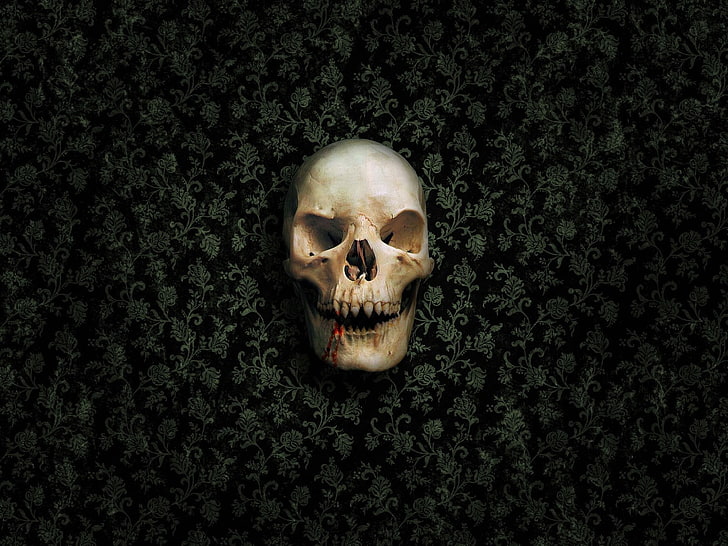 human skull, skull, death, vampires, spooky, Gothic, HD wallpaper