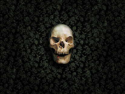mänsklig skalle, skalle, död, vampyrer, kuslig, gotisk, HD tapet HD wallpaper
