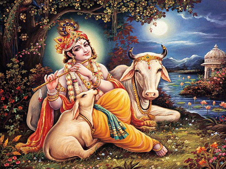 Господ Кришна и крава, илюстрация на Кришна, Бог, Господ Кришна, свирене, флейта, крава, HD тапет
