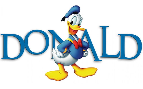 Disney, Donald Duck, Fond d'écran HD HD wallpaper