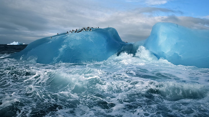 айсберг, природа, пейзаж, зима, айсберг, море, облака, арктика, пингвины, животные, волны, HD обои