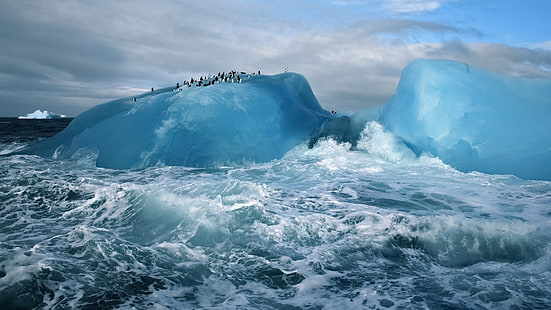 氷山、自然、風景、冬、氷山、海、雲、北極圏、ペンギン、動物、波、 HDデスクトップの壁紙 HD wallpaper