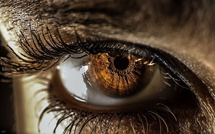 Human eye, macro, eyes, the pupil, iris