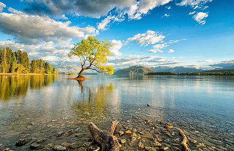New Zealand, South Island, Lake Wanaka, green tree, New Zealand, South Island, Lake Wanaka, tree, sky, clouds, HD wallpaper HD wallpaper