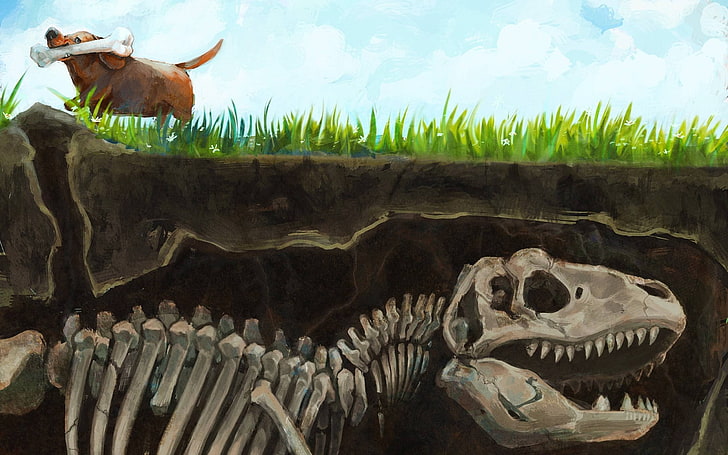 dinosaur skeleton painting, artwork, dinosaurs, dog, bones, split view, Up (movie), evolution, animals, HD wallpaper