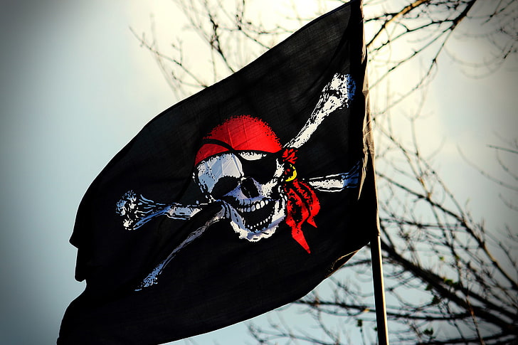 black, red, and white pirate flag, skull, flag, pirate, Jolly Roger, HD wallpaper