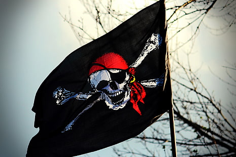 black, red, and white pirate flag, skull, flag, pirate, Jolly Roger, HD wallpaper HD wallpaper