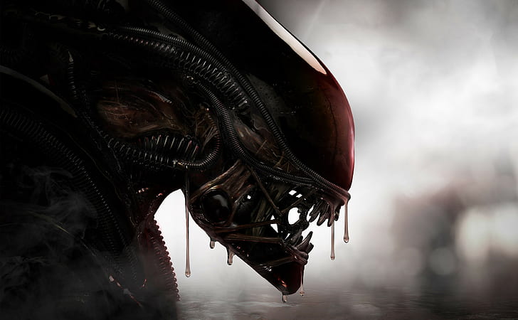 Aliens, Xenomorph, Kreatur, HD-Hintergrundbild