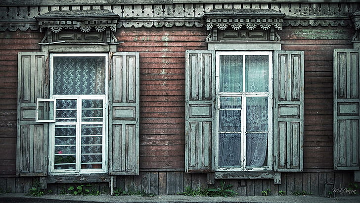 Old But Never Forgoteen Viii, gray wooden window door, windows, vintage, sidewalk, house, gingerbread trim, broken down, curtains, home, animals, HD wallpaper