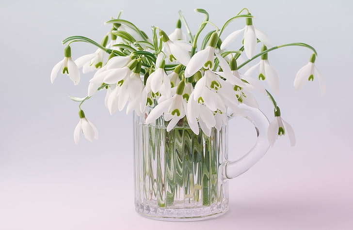 Snowdrops Bouquet, Seasons, Spring, White, Flowers, Close, Snowdrops, indoor, fragility, stilllife, springflowers, earlybloomer, glassmug, HD wallpaper