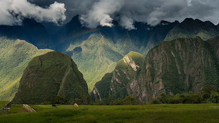 green mountains, the sky, landscape, mountains, city, view, rainbow, ruins, ancient, Peru, Machu Picchu, travel, wallpaper., Historic, my planet, panoramic, Sanctuary, historical, HD wallpaper
