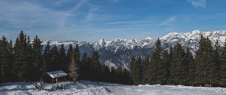 pins, ultra large, neige, montagnes, forêt, paysage, Fond d'écran HD