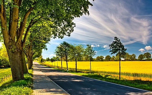 Nur ein sonniger Tag, Bäume, Pflanzen, Landschaft, Weg, Straße, HD-Hintergrundbild HD wallpaper