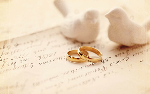 pair, Engagement rings, wedding, lovebirds, HD wallpaper HD wallpaper