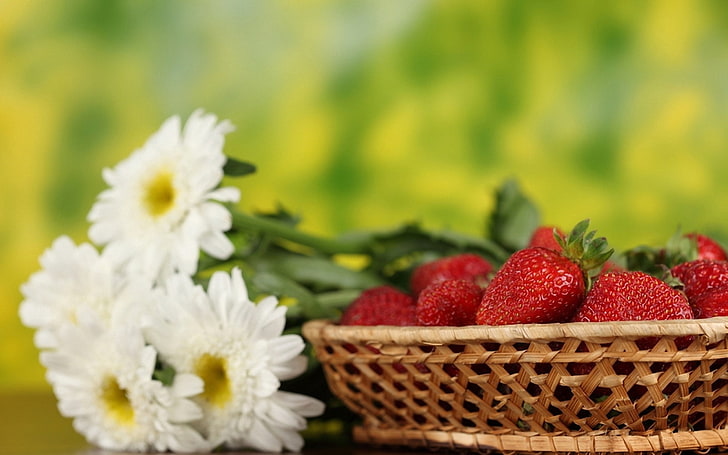 bunch of strawberries, strawberry, basket, berries, flowers, HD wallpaper