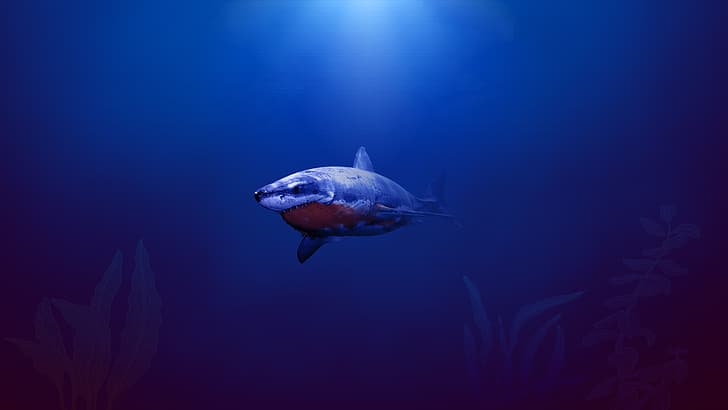 blue, dark, shark, sea, simple background, gradient, water, seaweed, HD wallpaper