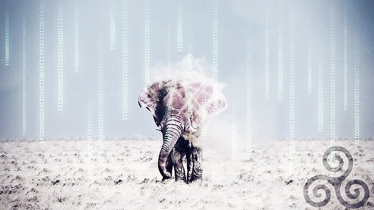 elephants triskel desert the matrix wireframe, HD wallpaper