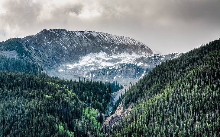 textil de pelaje blanco y negro, naturaleza, paisaje, Colorado, montañas, bosques, nubes, nieve, árboles, Fondo de pantalla HD