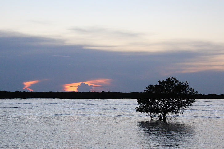 Siem Reap, coucher de soleil, eau, lac, mer, bleu, arbres, Fond d'écran HD
