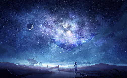 anime himmel, Vintergatan, stjärnor, anime pojke, hund, måne, val, galax, Anime, HD tapet HD wallpaper