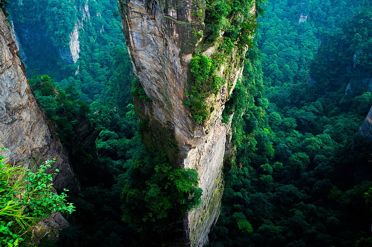 paysage de pic de montagne, forêt, Chine, falaise, montagnes, vert, été, parc national, nature, paysage, vue aérienne, Fond d'écran HD