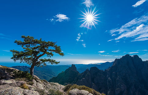 pittura astratta blu e bianca, Corsica, Francia, paesaggio, alberi, Sole, natura, roccia, Sfondo HD HD wallpaper