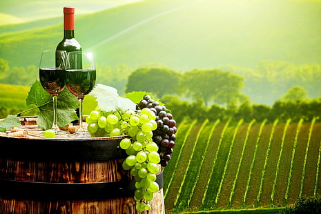Еда, вино, бокал, виноград, натюрморт, виноградник, HD обои HD wallpaper