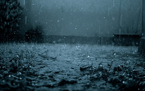 Regen, Boden, HD-Hintergrundbild HD wallpaper