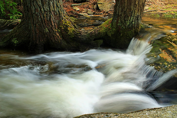 river timelapse photography, Jeans, Run, Gorge, river, timelapse photography, Pennsylvania, Carbon County, State Game Lands, SGL, hiking, creek, stream, waterfall, cascades, rocks, trees, forest, trunks, eastern hemlocks, Tsuga canadensis, ravine, spring, creative commons, nature, flowing Water, water, rock - Object, outdoors, tree, scenics, landscape, moss, beauty In Nature, leaf, flowing, freshness, blurred Motion, green Color, autumn, HD wallpaper