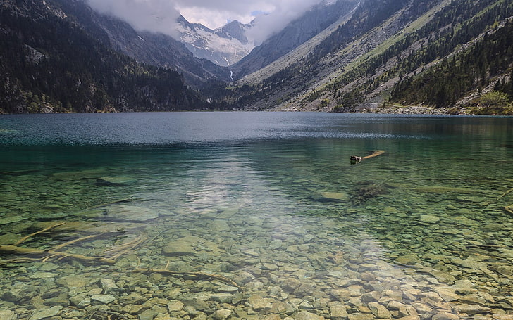 corpo de água ao lado de montanhas verdes, montanhas, lago, HD papel de parede