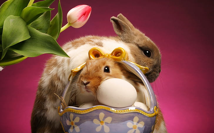 Великденски зайчета, яйца, животни, фон, картина, HD тапет