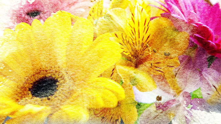 Flowers Of Sunshine, gerbera, summer, lily, daisy, yellow, sunny, sunshine, bright, pink, spring, textured, gold, warm, HD wallpaper