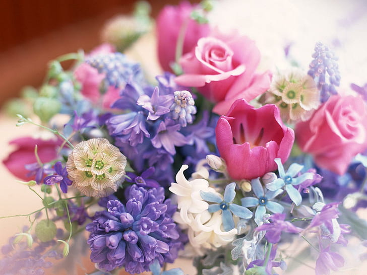 Dekorasi Bunga, bunga petaled pink-ungu-putih-dan biru, bunga, dekorasi, Wallpaper HD