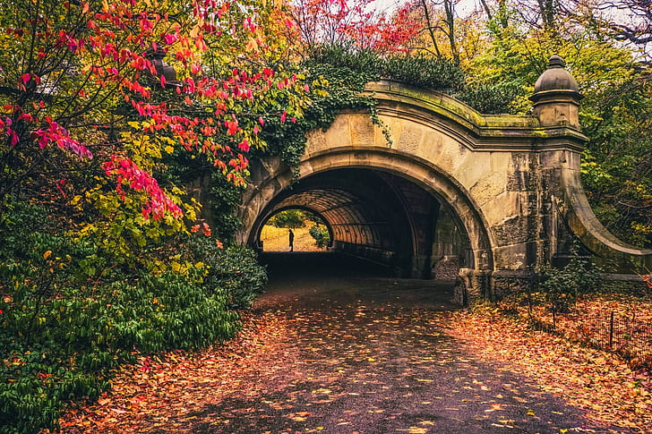 parco, foglie, tunnel, foglie cadute, foglie rosse, Sfondo HD