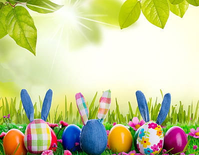 Ilustración de lote de huevos de Pascua de colores variados, hierba, juguete, huevos, primavera, conejo, prado, Pascua, sol, flores, conejito, Fondo de pantalla HD HD wallpaper