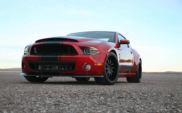 2013, ford, gt500, muscle, mustang, shelby, snake, super, supercar, HD wallpaper